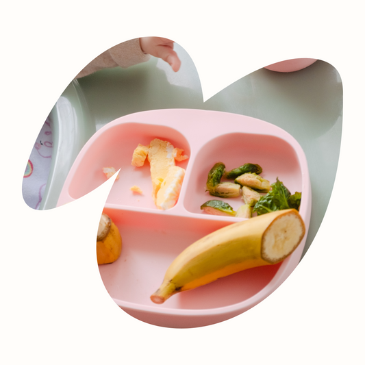 Ready, Set, Solids! Your Guide to Starting First Foods