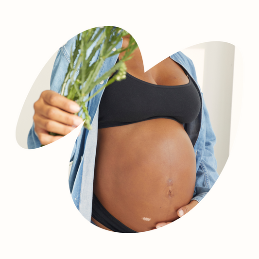 From Bump to Toddler: Why the First 1,000 Days Matter Most