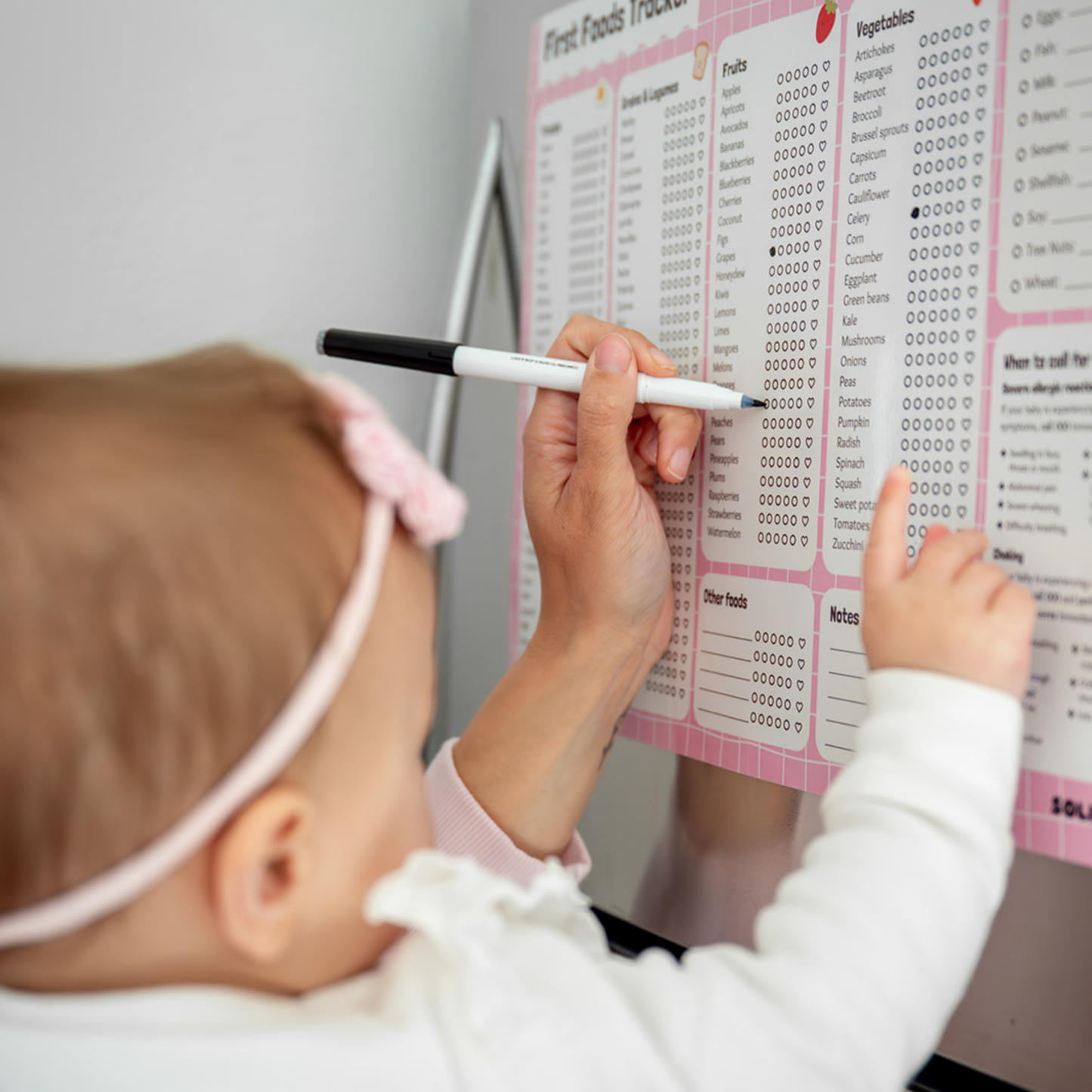 Solid Steps Baby First Foods & Allergens A3 Fridge Magnet