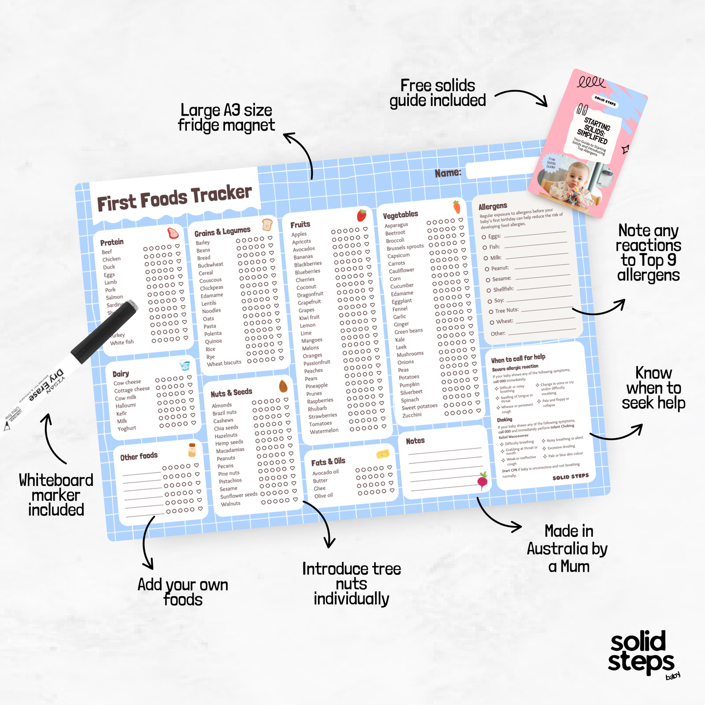 Solid Steps Baby First Foods & Allergens A3 Fridge Magnet