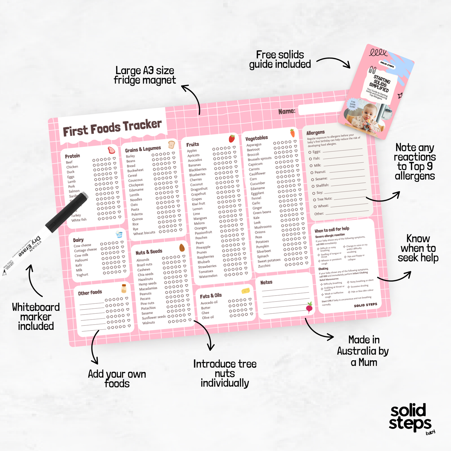 Solid Steps Baby First Foods & Allergens A3 Fridge Magnet